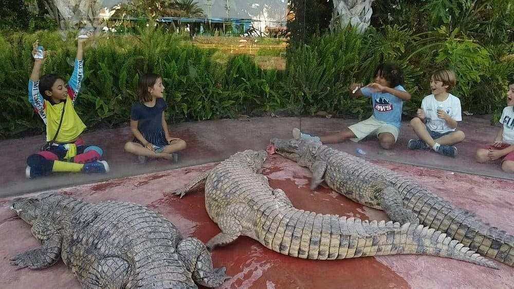 Scenic view of Crocoparc Agadir.
