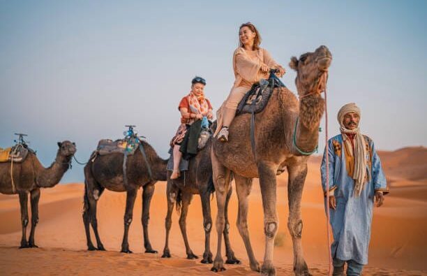 Booking a camel tour in Agadir online.