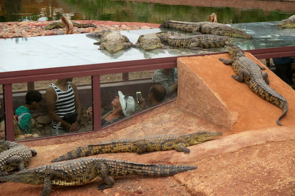 Entrance garden at Crocoparc Agadir with exotic plants and family visitors