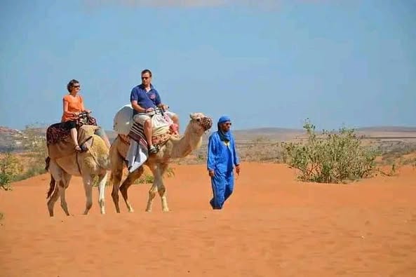 Family Camel Ride in Taghazout Small Desert