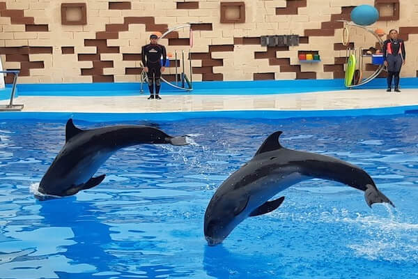 Entrance to Dolphin World Agadir Morocco
