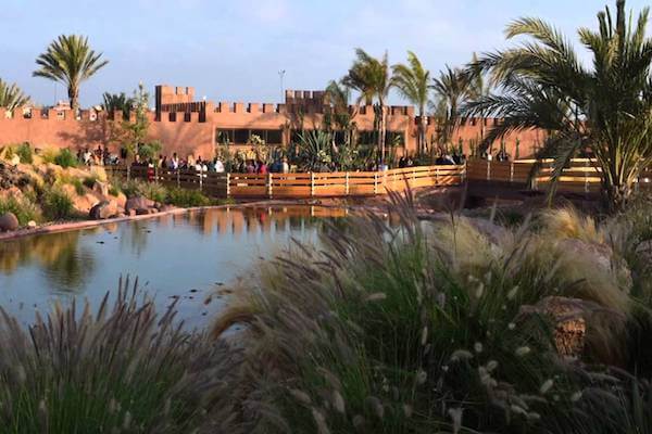 Lush gardens at Crocoparc Agadir.