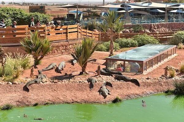 Family enjoying the Crocoparc tour from Agadir.