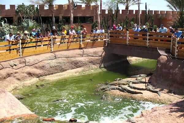 Family enjoying visit at Crocoparc Agadir