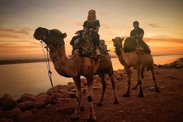 Sunset camel ride in Agadir with traditional Moroccan barbecue dinner