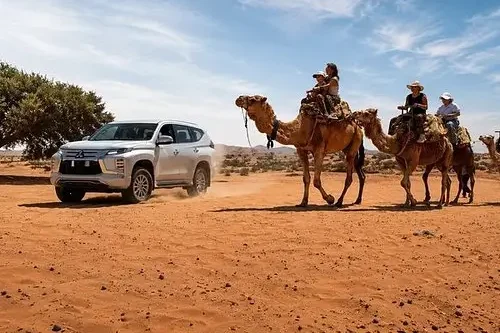 Optional camel ride in the Small Desert from Agadir